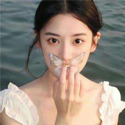 中国战役